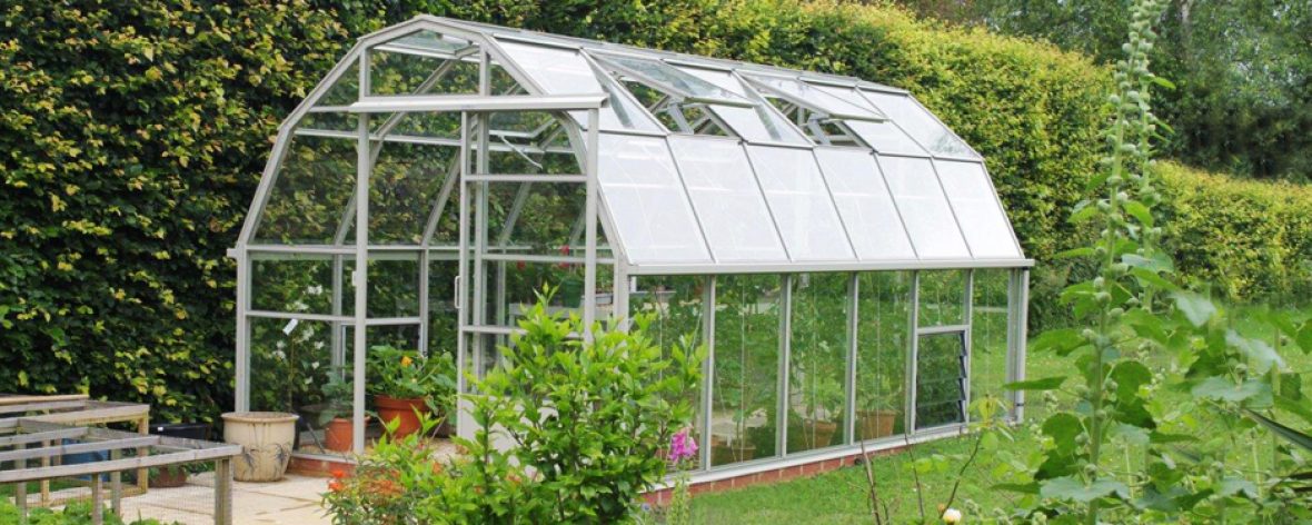 Grey Wisley 8 Greenhouse From The Hartley Botanic Small Greenhouse Range