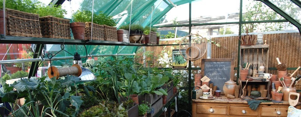 Shelving System and A Potting Table Inside A Hartley Botanic Greenhouse