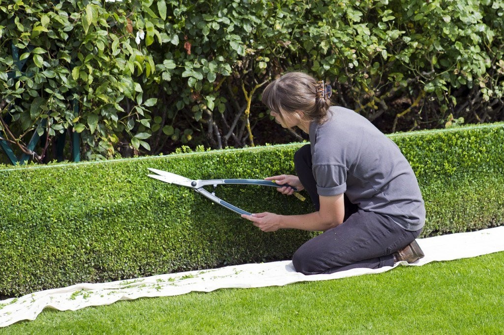 A woman working in the garden 