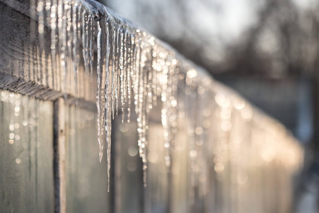 A Guide to Bubble Wrapping a Greenhouse - Hartley Botanic