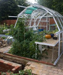 Putting the back on your greenhouse - by Hartley Botanic