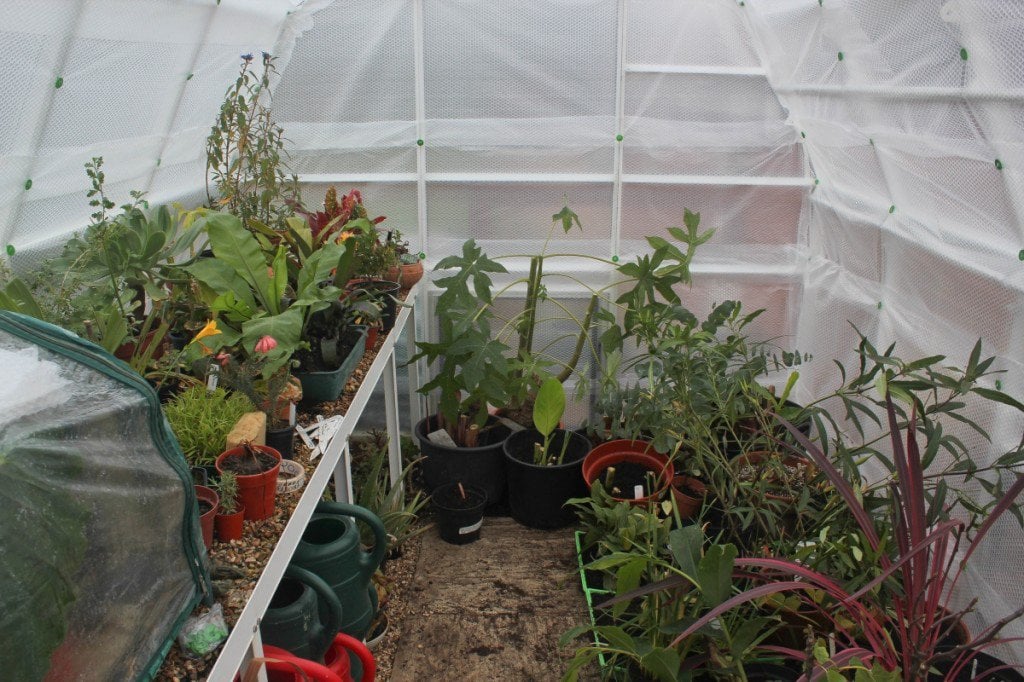 matt-biggs-greenhouse-november2013