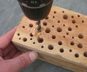 Bee-rise Block - Drilling