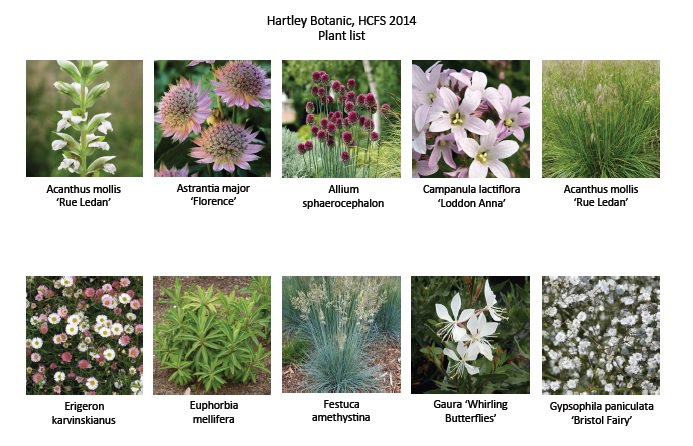 HB Hampton Court Flower Show Plant List 2014