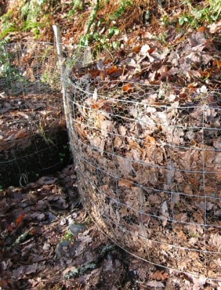 My big ‘cages’ overflow at collection time, but soon sink (as in the cage on the left) as leaf moulderers get to work.