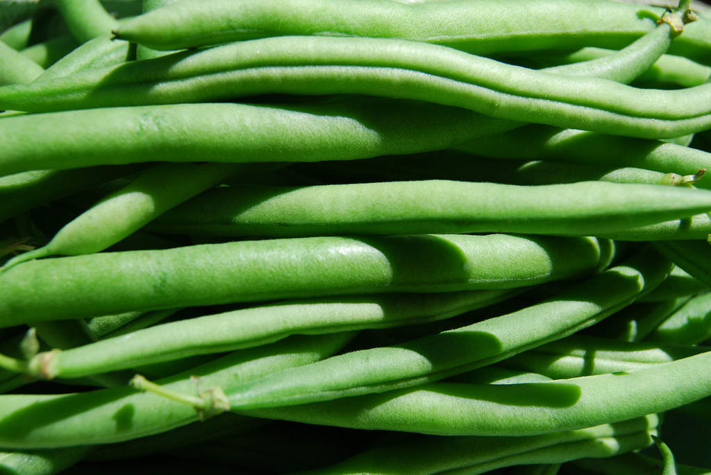 Field beans. Fresh Green Beans. (Green Beans) керамика. Green Beans halved. Green Beans - большая пребольшая.