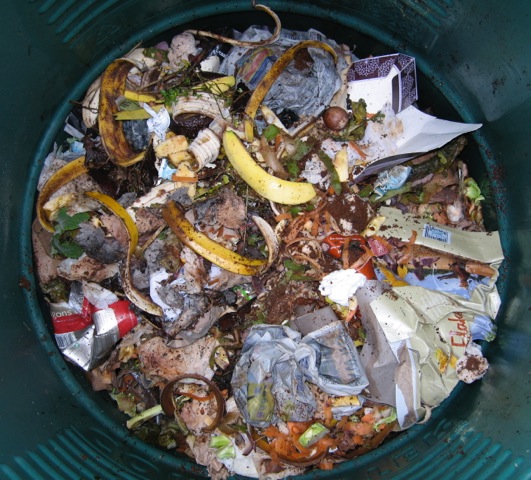 One of my wormpost bins a month after starting up. The worms are already busy below the fresh material that’s just gone in.