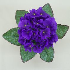 violet corsage