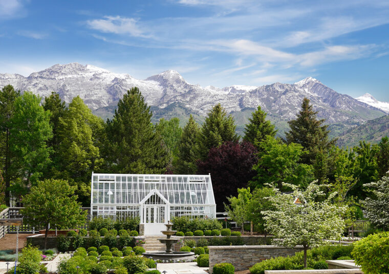 Greenhouse & Glasshouse Gallery Hartley Botanic