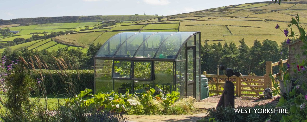 Greenhouse Армения роза