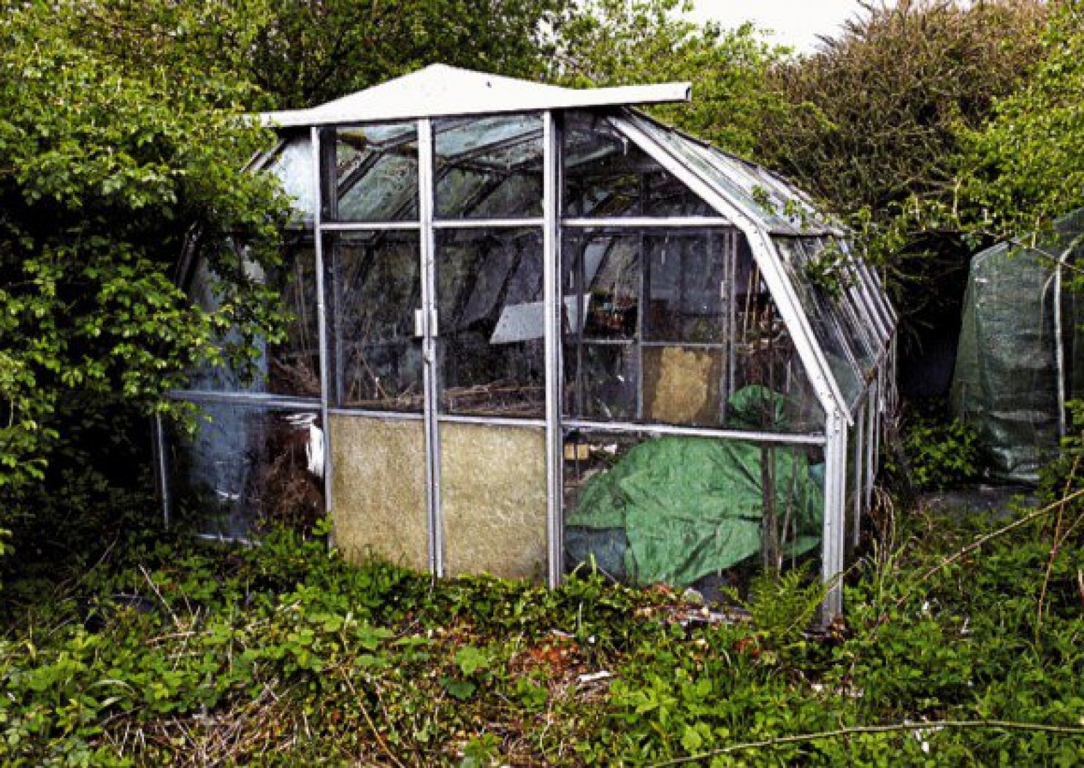 Hartley 10 Greenhouse Case Study Hartley Botanic