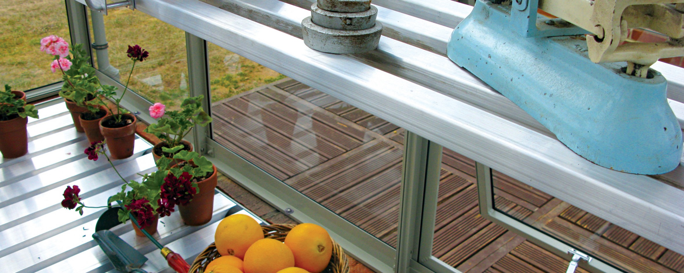 Aluminium Staging and Shelving for Greenhouses Hartley Botanic