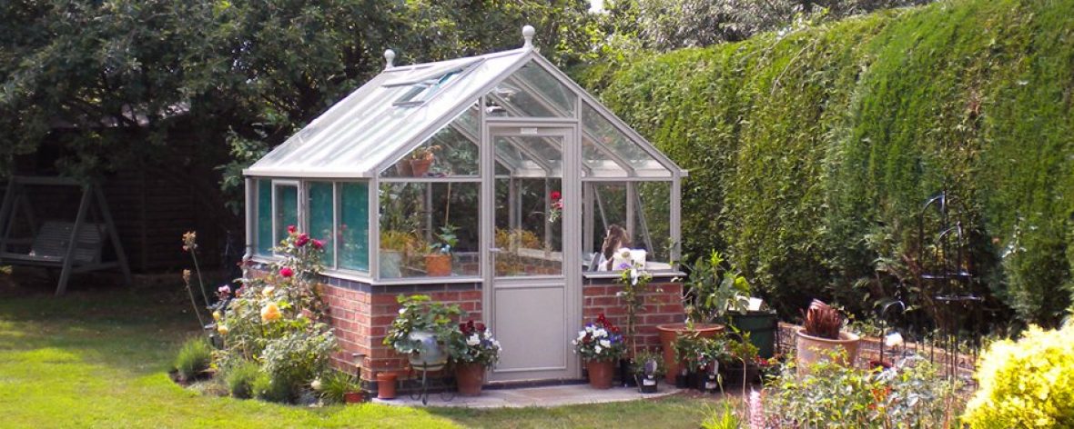 A White Hartley Botanic 8x8 Tradition 8 Greenhouse in a Garden.