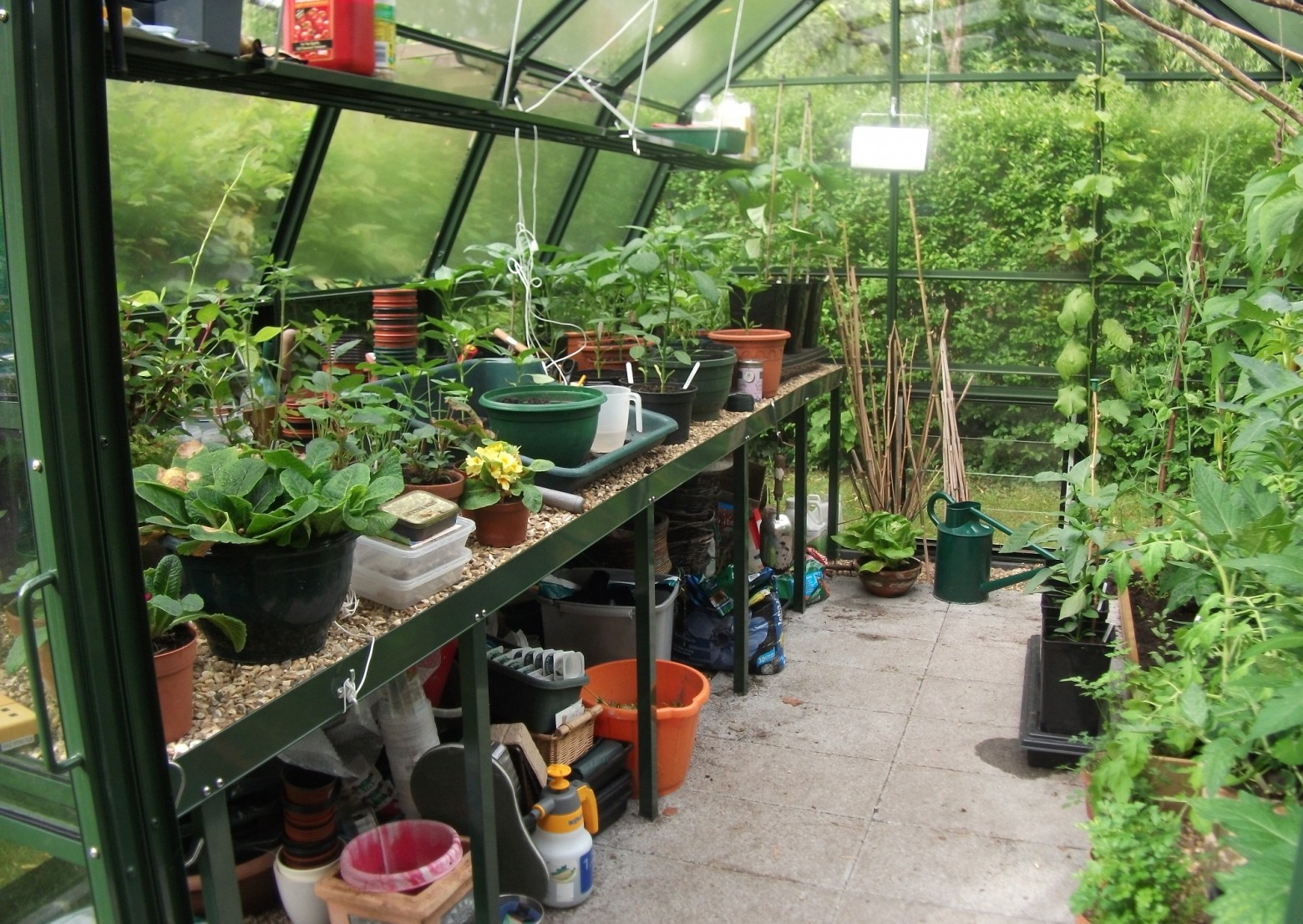 case study on greenhouse agriculture