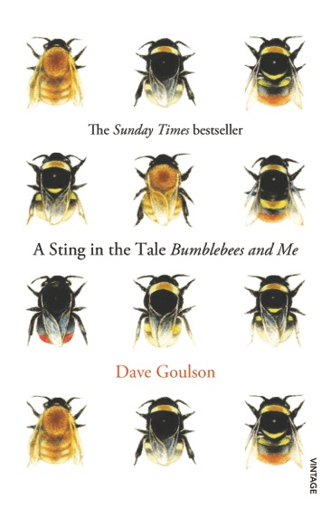 bumblebee-graph