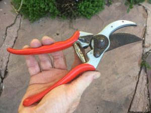 The Felco 2 secateurs or clippers are designed for perfect hand-fit, and constructed to take a lot of beating, and mine certainly have. 