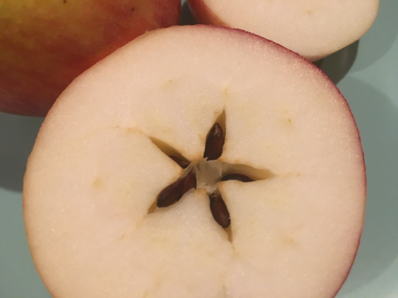 Can I grow apples from seeds?