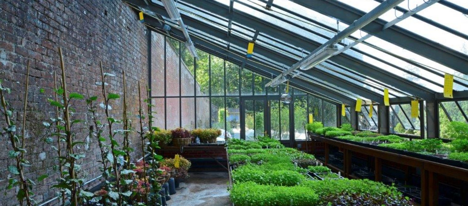 Hartley Greenhouse or Glasshouse Locations Hartley Botanic