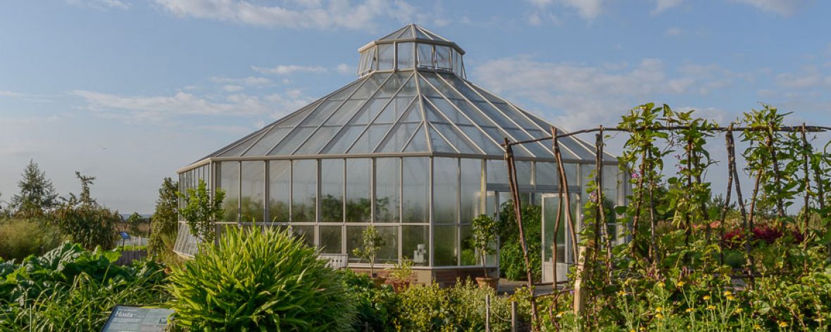 Bespoke Lean To Greenhouse 15 - Hartley Botanic