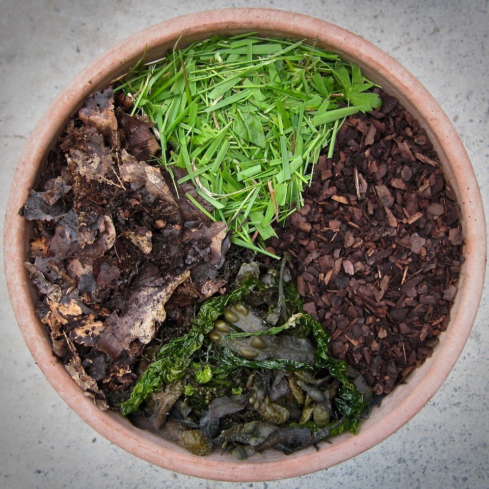 Topdown solutions by John Walker