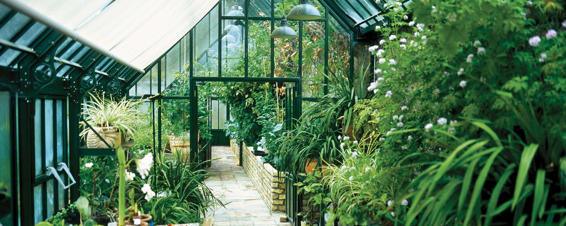 Internal Glass Wall for Greenhouses - Hartley Botanic