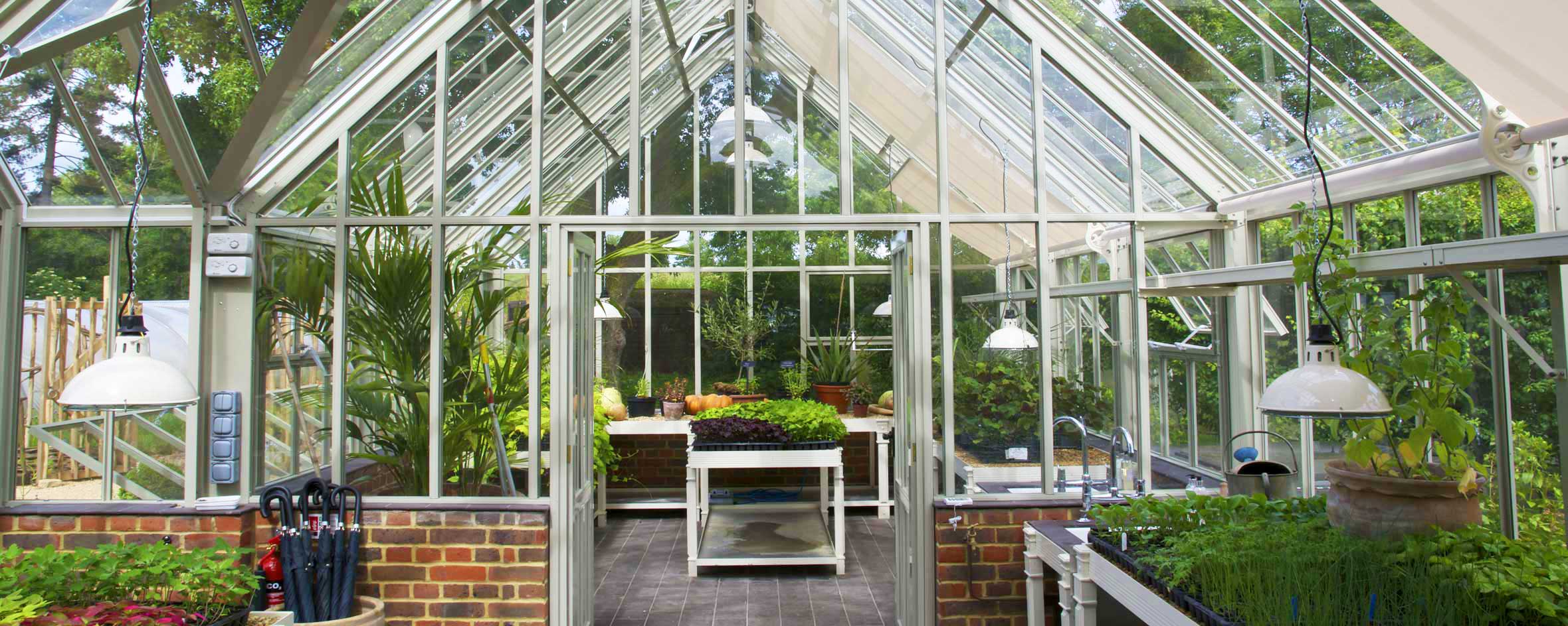 Internal Glass Wall for Greenhouses - Hartley Botanic