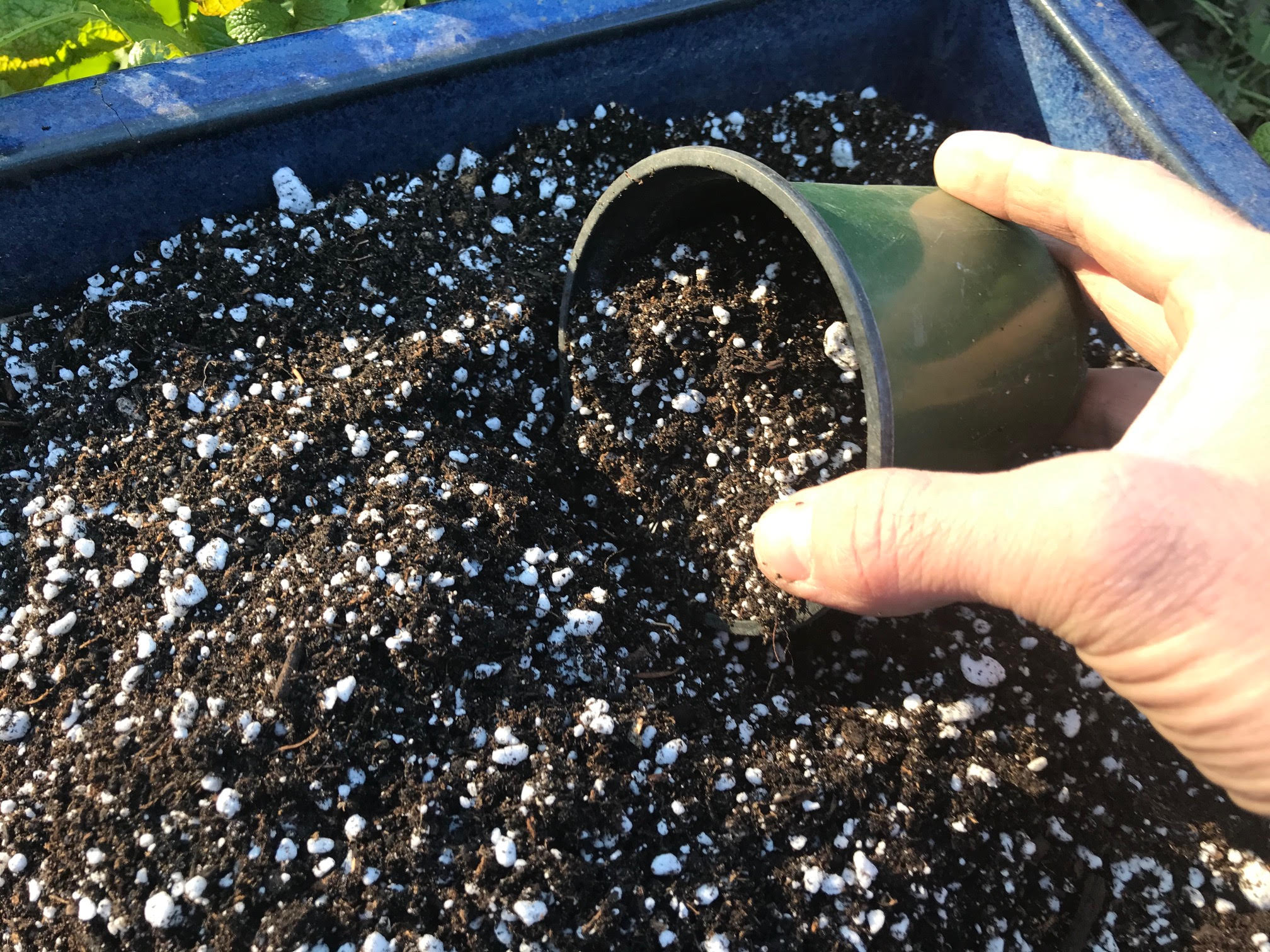 Make Your Own Potting Soil - by Roger Marshall
