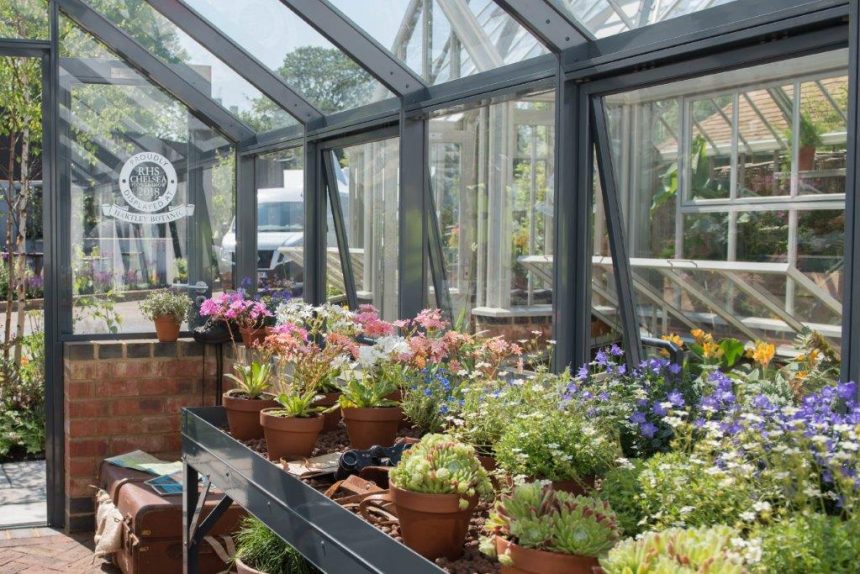 Why do plants grow better in a greenhouse? by Jean Vernon