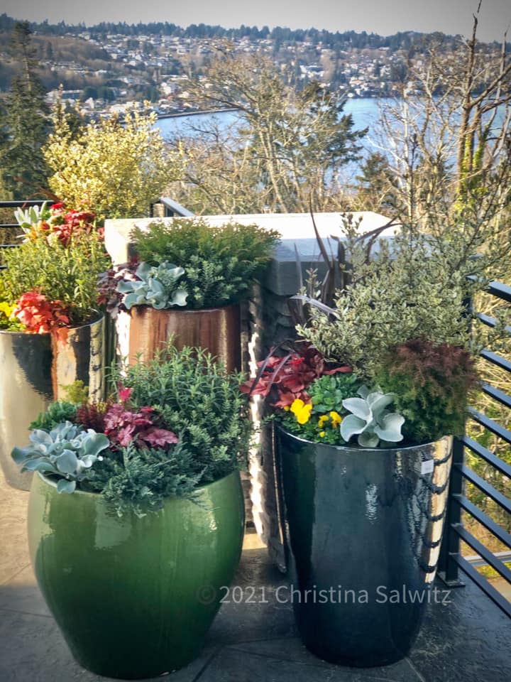 Extreme Container Gardening Christina Salwitz Tells How by Mary