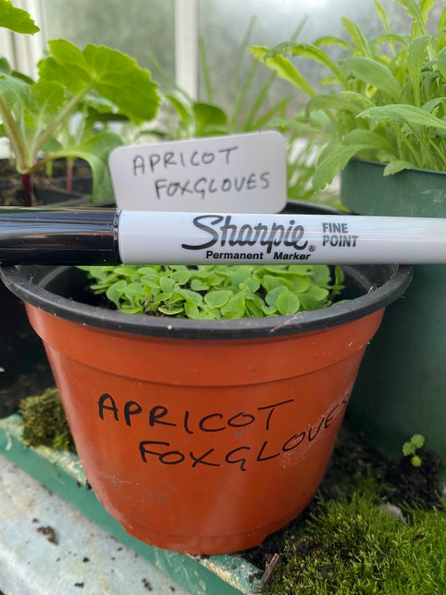 How to keep things correctly labeled by Jean Vernon